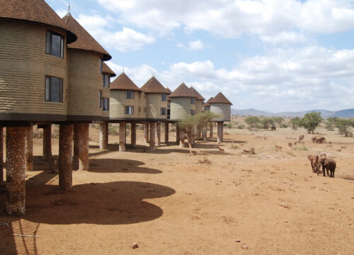 2 Days Tsavo East –Saltlick National park