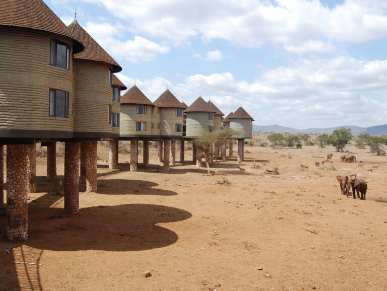 2 Days Saltlick Wildlife Safari - Taita Hills