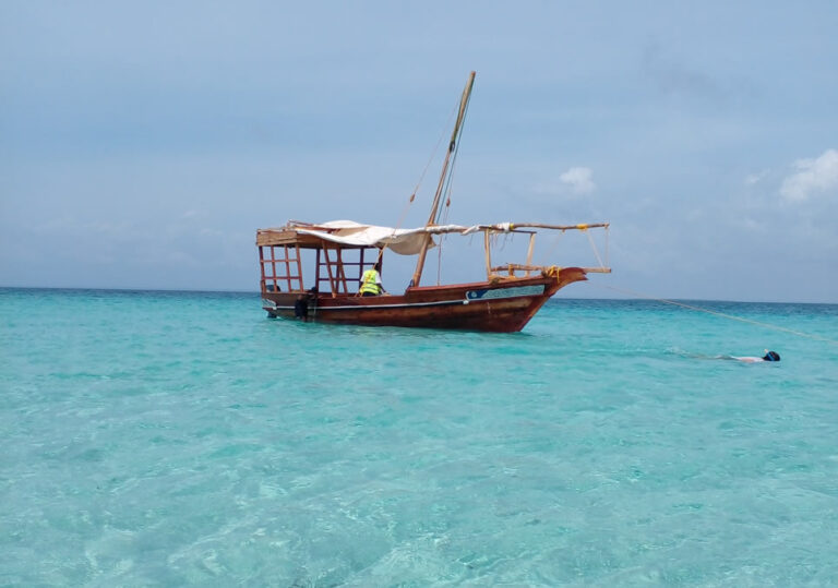 1 day wasini dhow