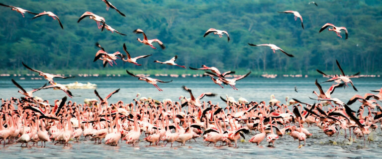 2 days lake nakuru2