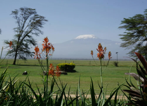 5 Days Taste Of Tsavo And Kilimanjaro