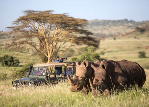 4 Days North Tanzania Safari