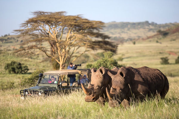 5 Days Masai Mara Wildebeest Migration Safari With A Tour Of Lake Nakuru – Budget Safari
