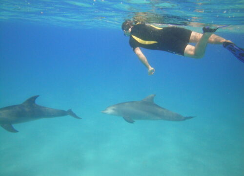 Scuba diving